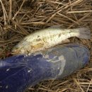 세광학교 이미지