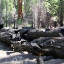 마리포사 이미지