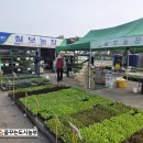 칠보농장