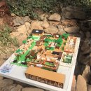 포레스트 랩(FOREST LAB) 이미지