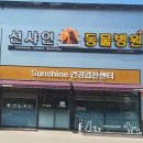 구미 도량동 강아지 스케일링 전 검사 후기 (선샤인동물병원) 내돈내산