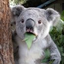 안경창고 싸군 인천학익점 이미지