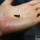 경인우주타이어 이미지