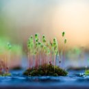 제이스마트 이미지