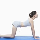 신진가스 이미지