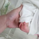 노소아과의원 | 🍑출산일기🍑 : 원주 미즈산부인과 제왕절개 후기(3)_퇴소편