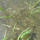 현지농장 이미지