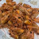 진경카센타 | 2025. - 9월 일상기록