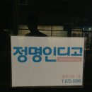 정명인디고