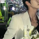 하룻강아지 이미지