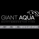 자이언트청주 이미지