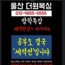더원복싱다이어트 클럽 이미지