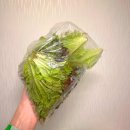 [대화 맛집] 단골된지 10년이 넘은 일산 고추장 삼겹살 포장후기🩷