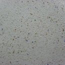 옥바이오 이미지