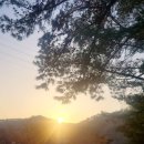 삼척엘림캠핑장 이미지