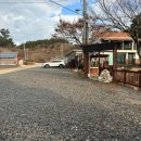 곰섬파라다이스2 이미지