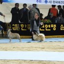 이천공설운동장 이미지