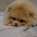 케이마켓주 이미지