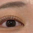 상동생생약국 | 💄제이인뷰티 속눈썹💄