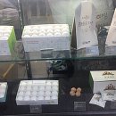 코코호도 둔산점 이미지