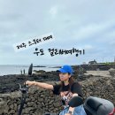 천진항 | 제주 여행:: 우도 천진항 전기차 렌트 대여 내돈내산 후기 [걸리버여행기]