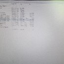 앨리스인원더랜드 이미지