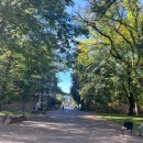 서도헬스타운 | 정말 솔직하게 써보는 미국 교환학생 후기 / 영어 실력, 생활비, 미국인친구, 연애, 어학연수와 차이