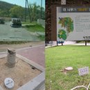 희망의 나무 이미지