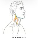 에너라이프