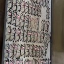 시티안경 | 청주 복대동으뜸플러스안경 지웰시티안경점 가성비 안경 후기