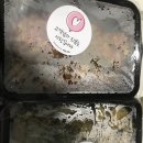 [회기파스타/휘경동 맛집] 파스타 배달 포장에 강추인 파스타 왔어요 회기점 후기!