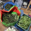 오 동태마을 봉동둔산점 이미지