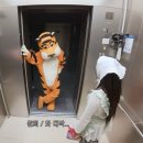 빠이복싱 | 이건 첫번째 레슨