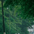 오이시쿠 이미지