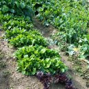 입동농장 이미지