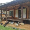 계영당 민박 네이버블로그