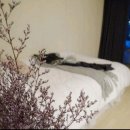 해운대엑소디움 이미지