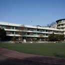 강남초등학교 이미지