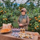 계정농장 이미지