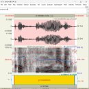 사임당로18길 22-8 | [12월 1주차] 이걸놓치다니☠️☠️