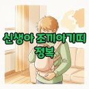 워너비스완 | 조끼아기띠로 힙시트 없이 조이 아기띠 단점 걱정 끝!