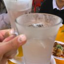 구월동 미스터교자 :: 교자맛집 | 구월동야장| 기린생맥주 | n차방문 후기 | 메뉴추천 🥟🍤