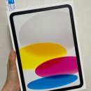 벅스79 | 2026년 해피뉴이어, 1월 일상 (1)