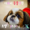 더케이 동물병원 이미지