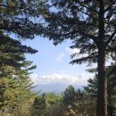 한라산을바라보는쉼터 이미지