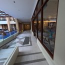 헤어에쓰 | 보홀 헤난 타왈라 리조트 디럭스룸 3박5일 조식, 알로나비치 가는길 풀바 보증금 후기