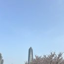 인천 송도 센트럴파크 주차부터 볼거리까지 총정리