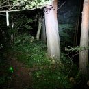 황조리마을회관 이미지