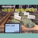 참새소금빵 | 광화문D타워맛집 시오팡야 광화문D타워점 쑥소금빵 쑥쿠키소금빵 신메뉴 후기