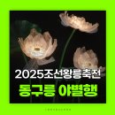 동구릉 | 구리가볼만한곳 동구릉 야별행 조선왕릉축전후기